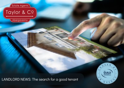 Landlord news: the search for a good tenant